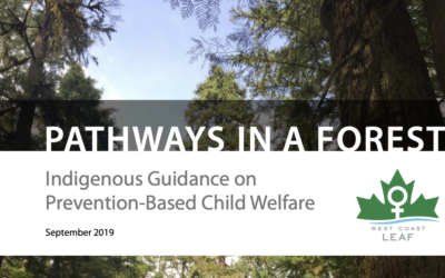 Pathways in a Forest: Indigenous Guidance on Prevention-Based Child Welfare (2019)