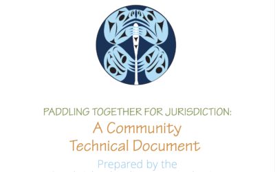 Paddling Together for JurIsdiction: A Community Technical Document (Fall 2023)